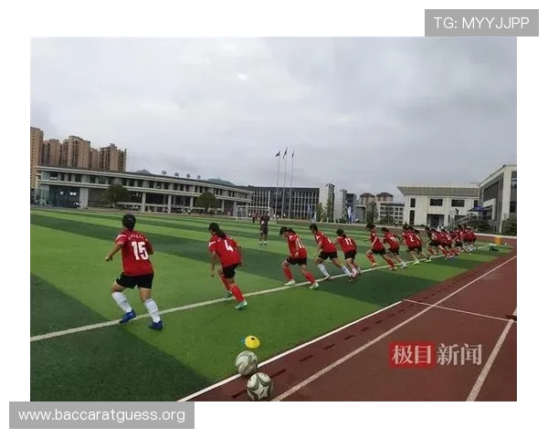 深入了解DB真人体育的优势与特色，助你轻松体验高品质真人体育赛事