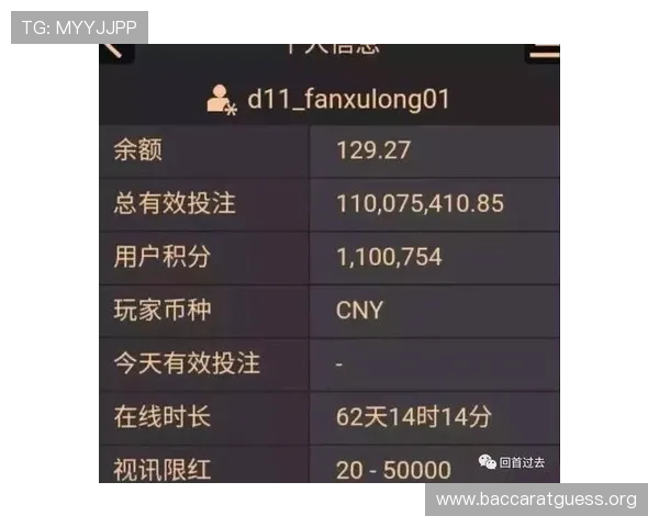 全面解析亚星百家乐的规则、策略与实战经验提升你的游戏水平